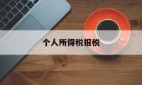 个人所得税报税(个人所得税报税怎么操作流程)